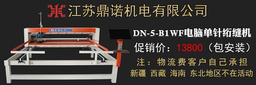 DN-5-B1WF电脑单针绗缝机活动详情