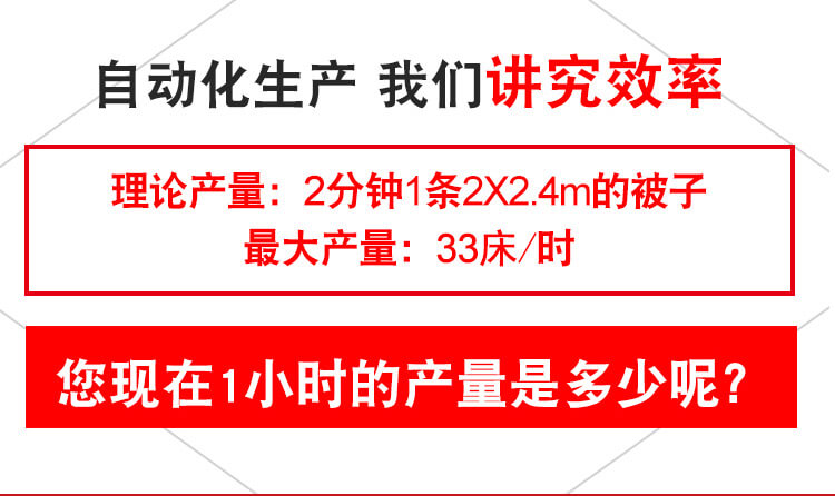 DN-6全自动电脑单针绗缝机产品细节8