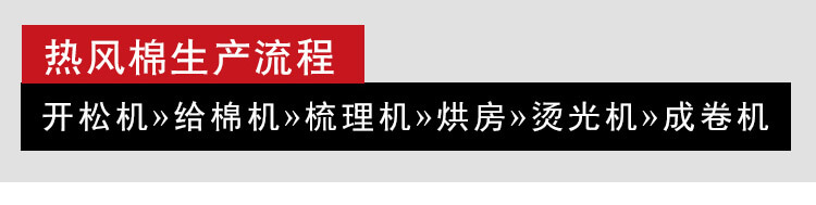 N95/KN95口罩热风棉生产线产品细节1